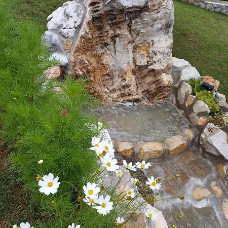 Lejlighed Tara Malesevic - 4 Lux