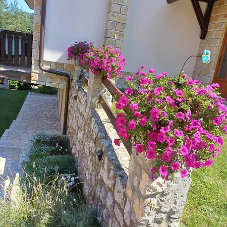 Tara Malesevic - 4 Lux Kaludjerske Bare