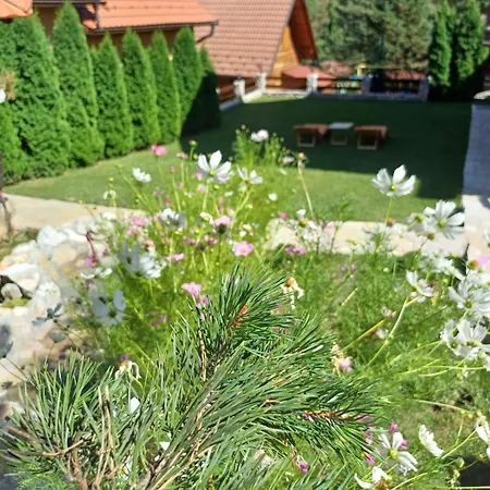 Tara Malesevic - 4 Lux