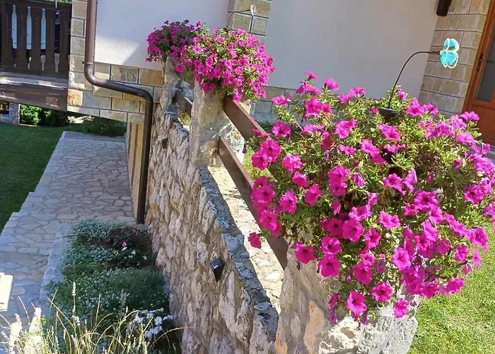 Tara Malesevic - 4 Lux Kaludjerske Bare