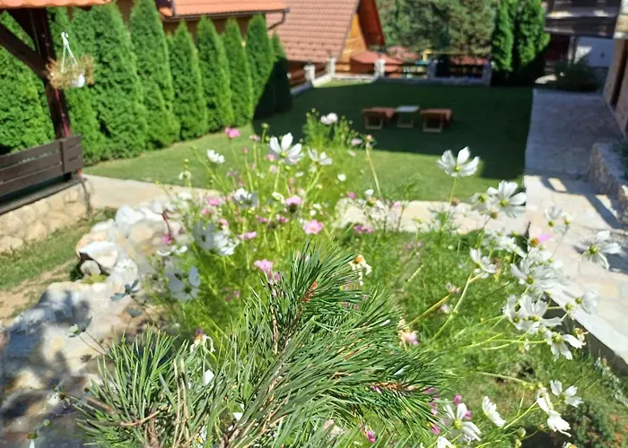 Tara Malesevic - 4 Lux