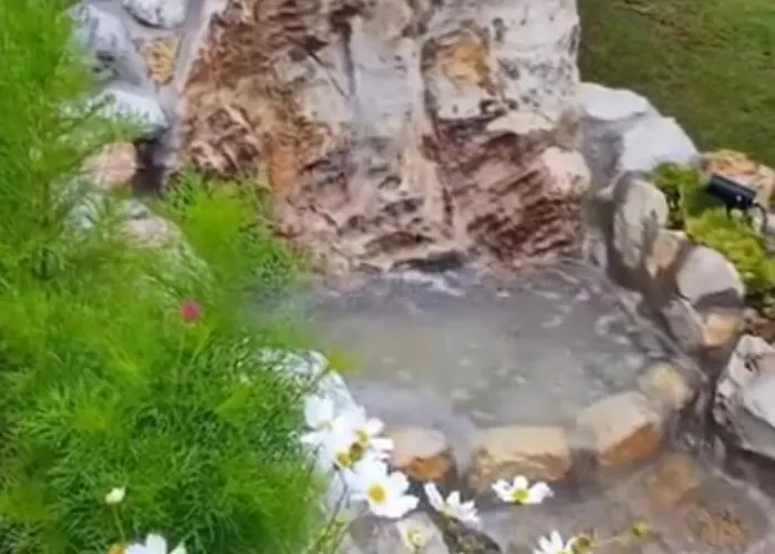 Tara Malesevic - 4 Lux *