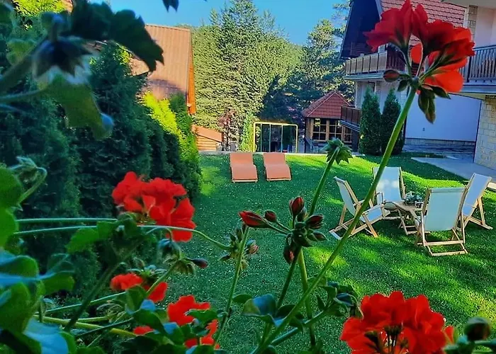 Apartment Tara Malesevic - 4 Lux